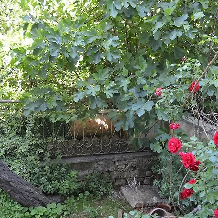 Apartamento Flora